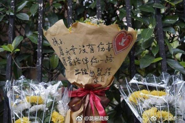 伊万：确实推荐了对亚洲深入了解的斯蒂马奇，他对中国队也有兴趣